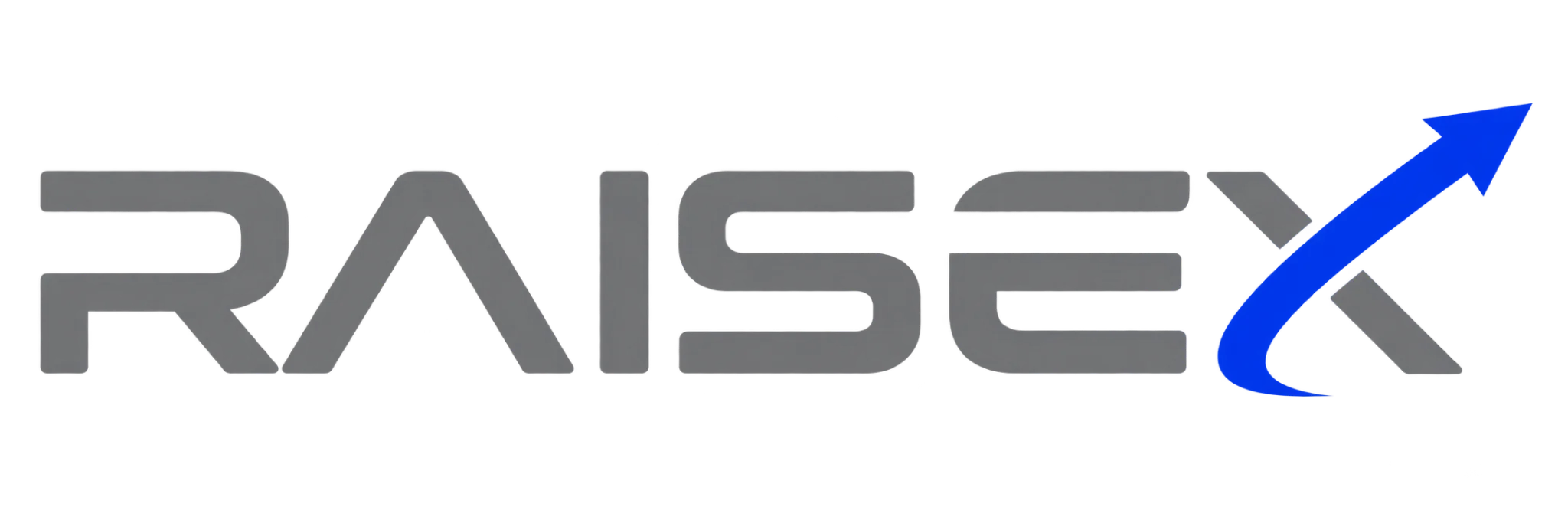 RaiseX — official logo